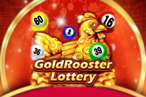Gold Rooster Lottery – Chicken Road Italia
